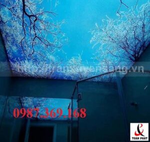 Mẫu trần nhà tắm xuyên sáng in bầu trời số 1 Mẫu trần nhà tắm xuyên sáng in bầu trời số 1