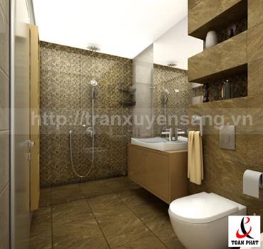 Mẫu trần nhà tắm xuyên sáng số 1