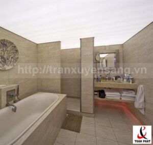 Mẫu trần nhà tắm xuyên sáng số 2 Mẫu trần nhà tắm xuyên sáng số 2