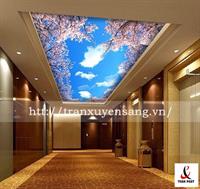 Mẫu trần xuyên sáng lắp đặt tại sảnh Khách Sạn