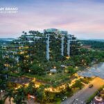 FLAMINGO ĐẠI LẢI – FOREST IN THE SKY
