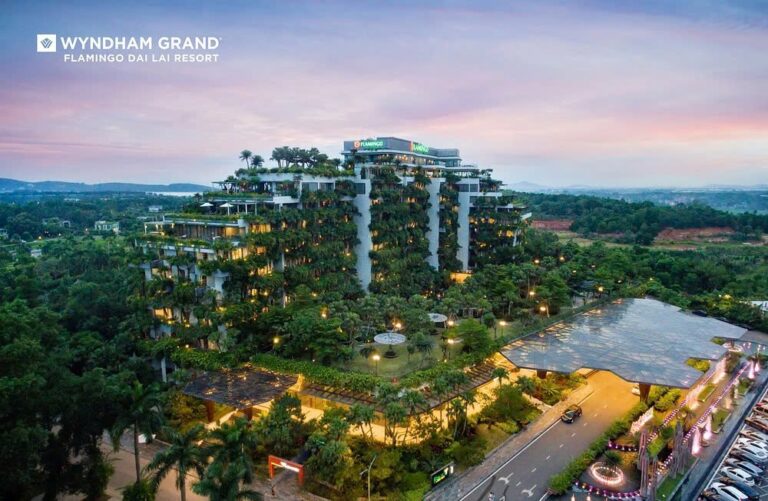 FLAMINGO ĐẠI LẢI – FOREST IN THE SKY